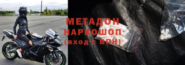 молекула духа Богданович