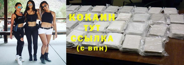 молекула духа Богданович