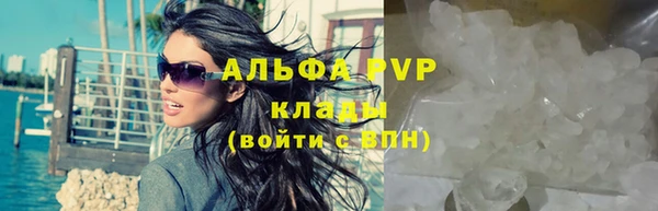 стаф Богородицк