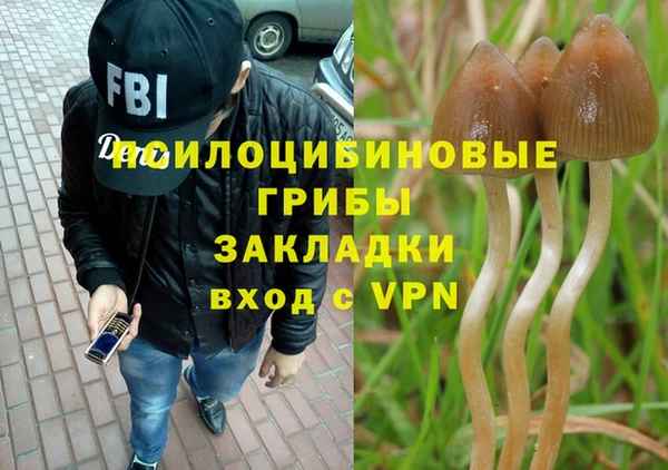 стаф Богородицк