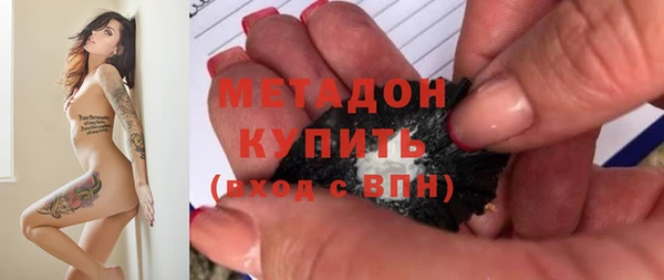 молекула духа Богданович