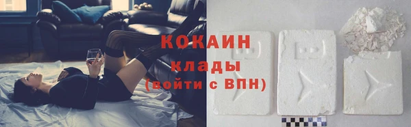 стаф Богородицк