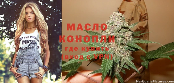 молекула духа Богданович