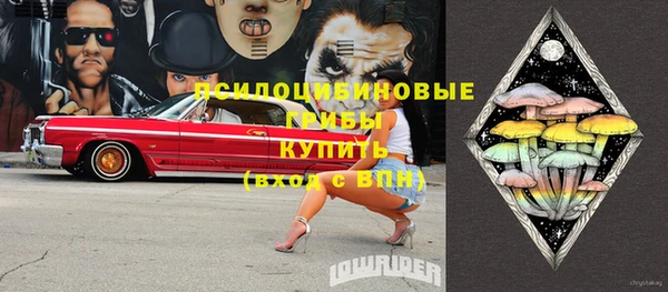 стаф Богородицк