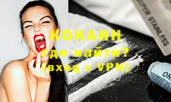 молекула духа Богданович
