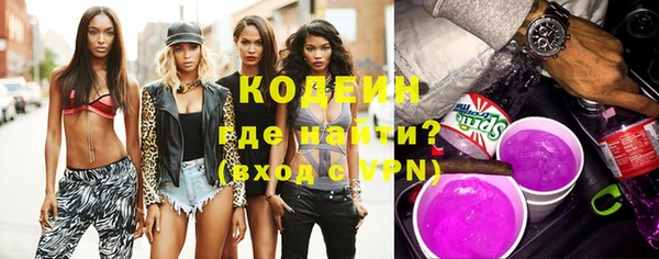 молекула духа Богданович