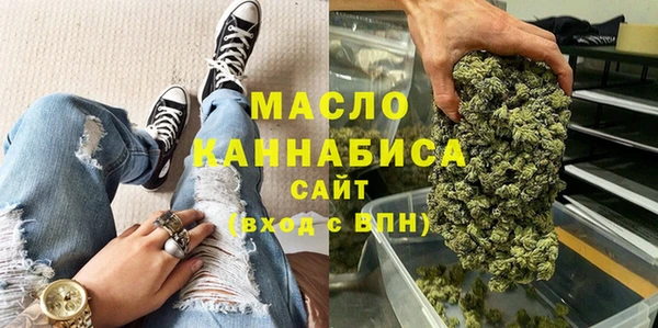 молекула духа Богданович