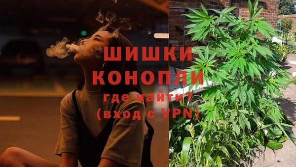 молекула духа Богданович