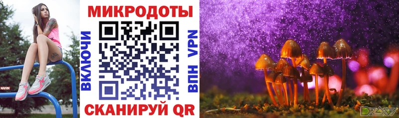 как найти закладки  Макаров  Галлюциногенные грибы Psilocybine cubensis 